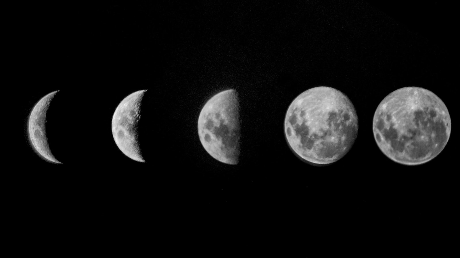 A repeating grid of lunar phases progressing from new moon through full and back.